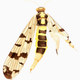 Illustration for article titled The Mutant Art of Radioactive Insects